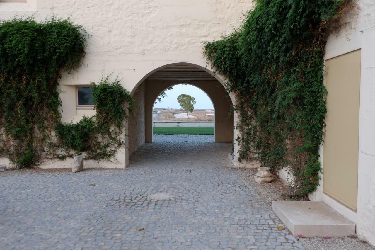 Flattered To Be In Algarve Apartment Tavira Ngoại thất bức ảnh