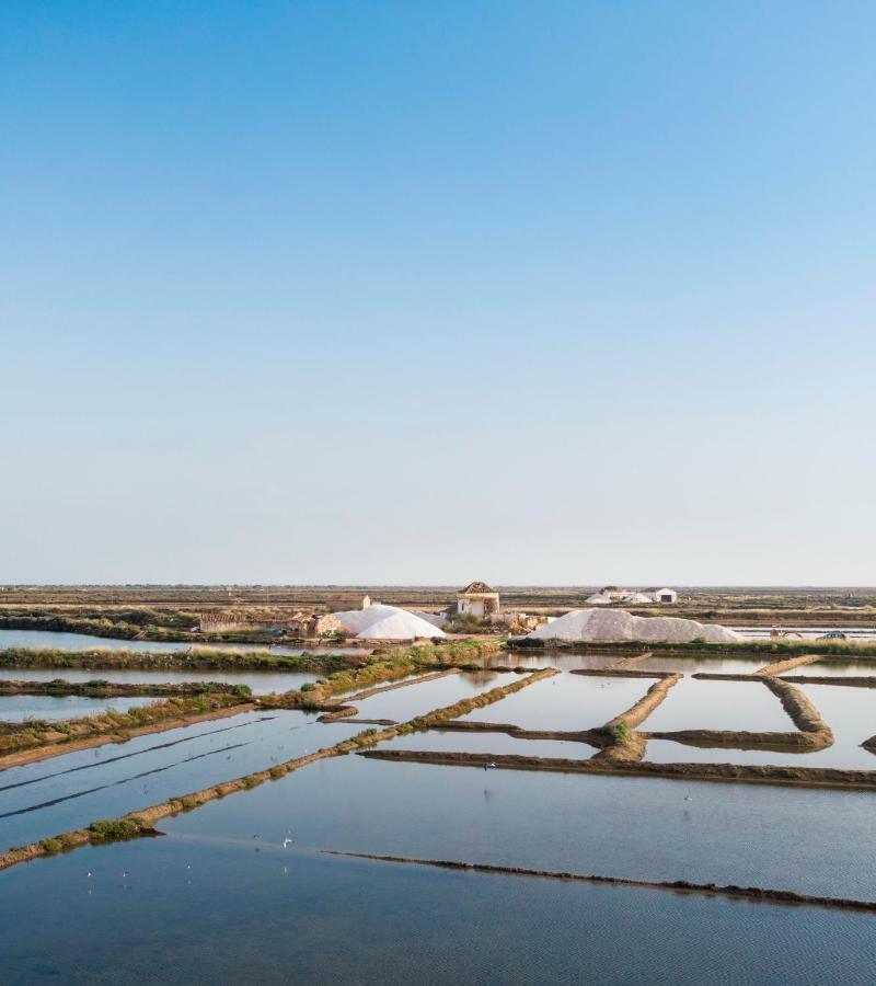 Flattered To Be In Algarve Apartment Tavira Ngoại thất bức ảnh